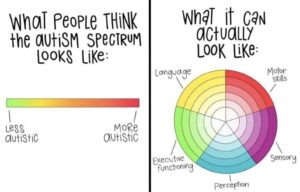 graphic to show the autsim spectrum, one shows what people think the autism spectrum looks like on a linear graph and the other side is what autism can actually look like in a circular graph with several layers within and sub topics like language, sensory, motor skills, executive functioning, and perception
